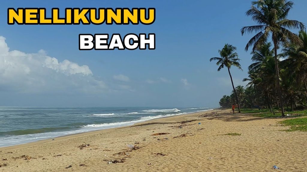 Nellikunnu beach